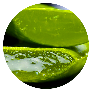 Soothing Aloe Vera