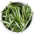 Tea Tree Oil